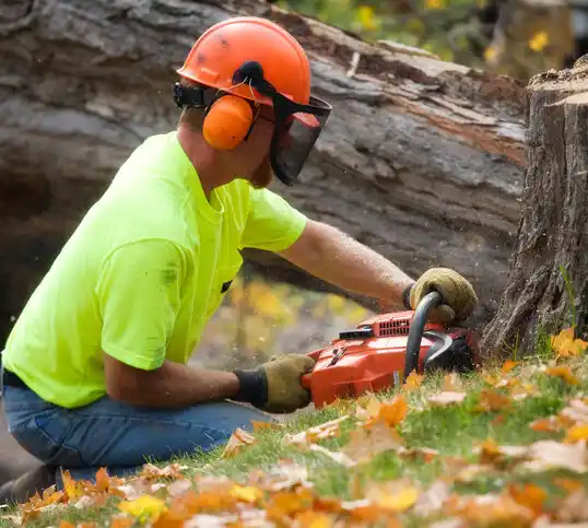 tree services Fort Campbell North